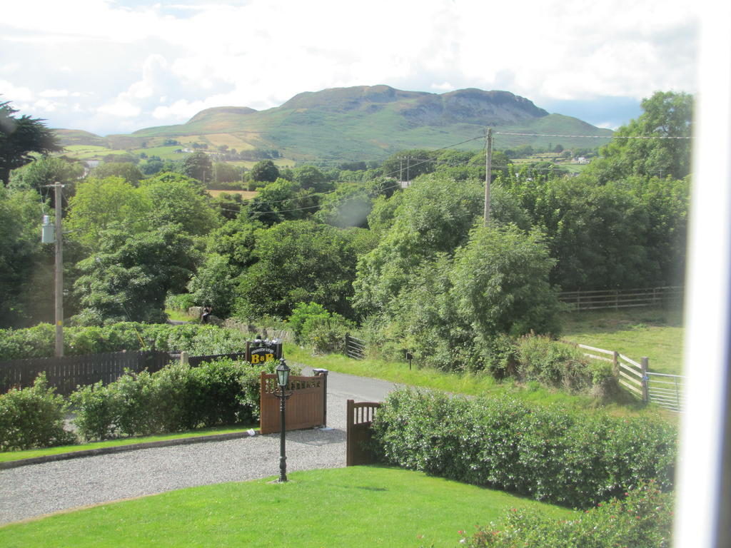 Riverside Lodge Carlingford Exterior foto